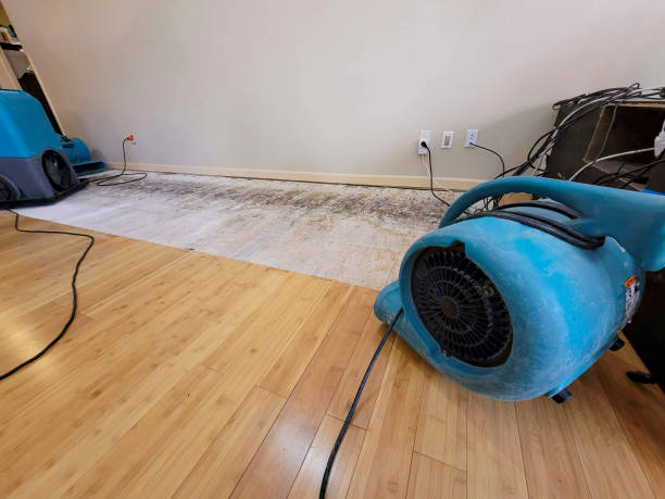 Professional Structural Drying technician working in Wellesley, MA
